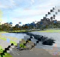 Amity Apartment Hotels - Darwin Tourism