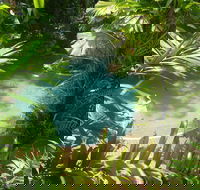 Palm Cove Tropic Apartments - Darwin Tourism