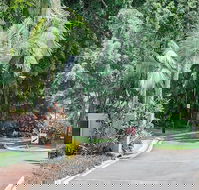 Oasis at Palm Cove - Darwin Tourism