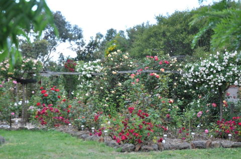 Fairy Wren Cottage Country To Coast Retreat - Darwin Tourism 6