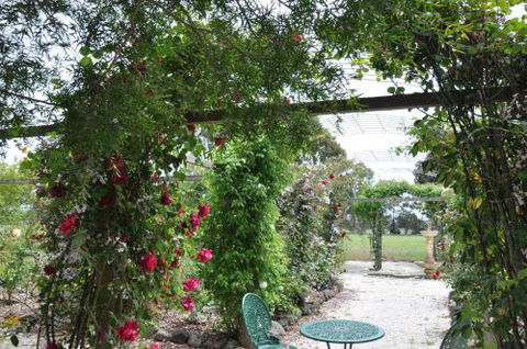 Fairy Wren Cottage Country To Coast Retreat - Darwin Tourism 1