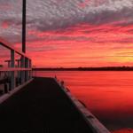 Fairy Wren Cottage Country To Coast Retreat - Darwin Tourism 0