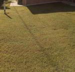 GOLDEN LACE B  B - Darwin Tourism