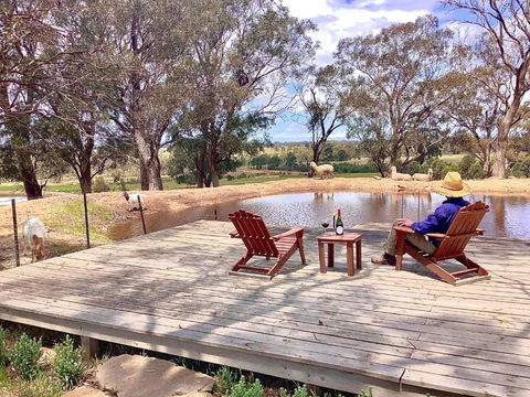 Gilgraves Vineyard Farmstay - Darwin Tourism 6