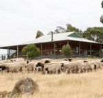 Gilgraves Vineyard Farmstay - Darwin Tourism