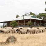 Gilgraves Vineyard Farmstay - Darwin Tourism 0