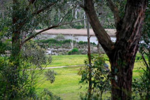 Brodribb River Rainforest Cabins Cabin 3 - Darwin Tourism 3