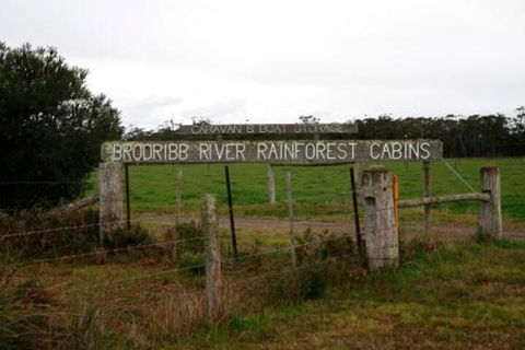 Brodribb River Rainforest Cabins Cabin 2 - Darwin Tourism 7
