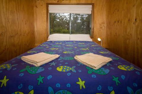 Brodribb River Rainforest Cabins Cabin 2 - Darwin Tourism 3