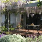 Windrush BnB Comboyne Australia - Darwin Tourism 0