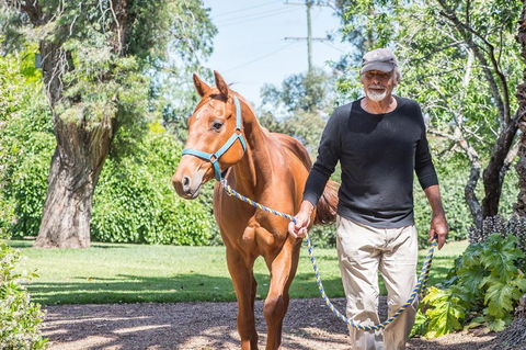 Russley Rural Retreat - Darwin Tourism 3