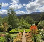 Delderfield Cottages - Darwin Tourism