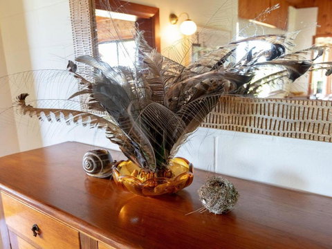 Captains Lookout Elevated Ocean Views Rural Stay - Darwin Tourism 4