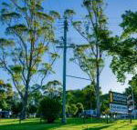 Dorrigo Mountain Holiday Park - Darwin Tourism