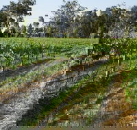 Renovated Cottage Aberdare Hunter Valley - Darwin Tourism