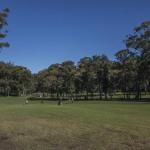 Mollymook NSW Darwin Tourism