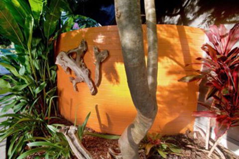 Driftwood Villa - Darwin Tourism 4