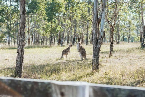 The Homestead At Corunna Station - Darwin Tourism 5
