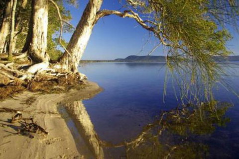 Mimosa - Darwin Tourism 1