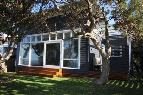 SEA URCHIN - Darwin Tourism 0