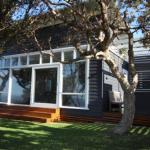 SEA URCHIN - Darwin Tourism 1