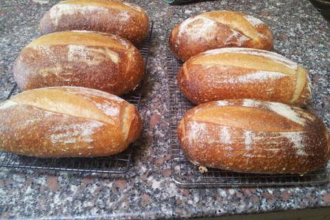 Appin Homestay B & B - Darwin Tourism 6