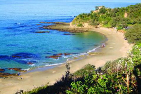 Pacific Studio Nambucca Heads - Darwin Tourism 5