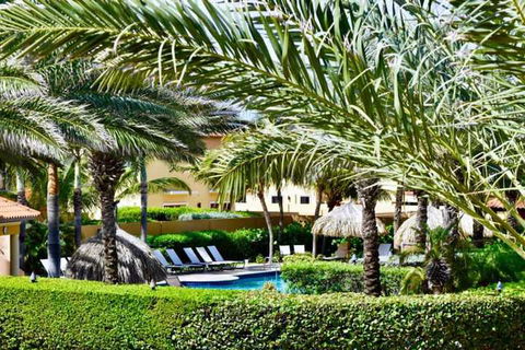 Noord 121 - Darwin Tourism 1