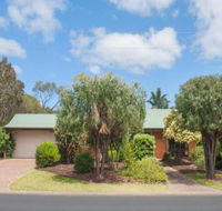 Bottlebrush - Darwin Tourism