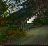 Brisbane North BB and Winery - Darwin Tourism