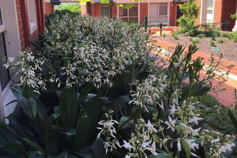 Australian Home Away At Box Hill 2 Bedroom - Darwin Tourism 1