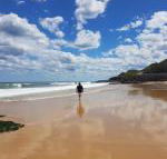 Arena Luxury Beachfront Apartment - Darwin Tourism