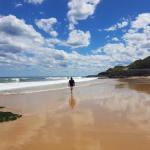 Arena Luxury Beachfront Apartment - Darwin Tourism 0