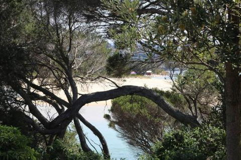 Albatross Unit 6 - Darwin Tourism 2