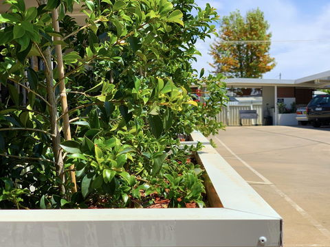 Baths Motel - Darwin Tourism 0