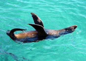 Coastal Comfort Motel - Darwin Tourism 1