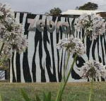 Zebras Guest House - Darwin Tourism