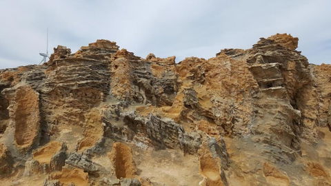 Georgia - Darwin Tourism 5