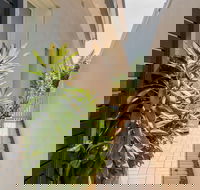 The Palm House Bondi - Darwin Tourism