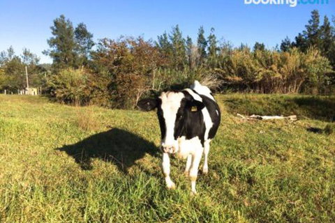 Old Schoolmasters Cottage On The Barrington River - Darwin Tourism 1