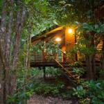 Wildwood - Darwin Tourism 0