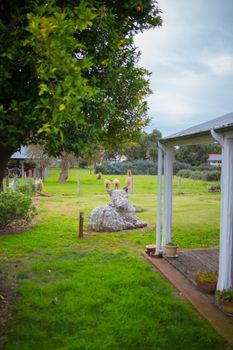 Davidsons Cottage - Darwin Tourism 5