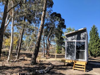 Big Tiny The Whispers - Darwin Tourism 2