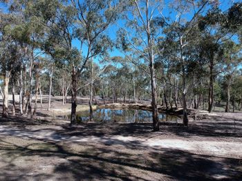 Big Tiny The Whispers - Darwin Tourism 3