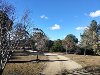 Big Tiny The Whispers - Darwin Tourism 5