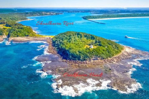 Dolphins Delight At Culburra Beach - Darwin Tourism 4