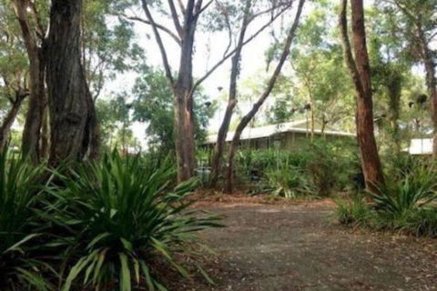 Port Stephens Koala Sanctuary - Darwin Tourism 2