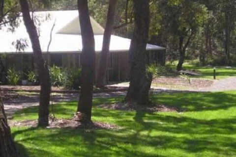 Port Stephens Koala Sanctuary - Darwin Tourism 6