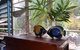 Lilybank Guest House - thumb 3