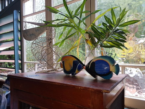 Lilybank Guest House - Darwin Tourism 3